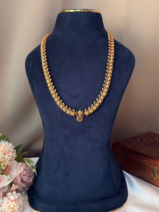 Peacock Hipchain/Haram HB23